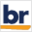 BigRentz.com Icon