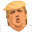 Trumpedupcards Icon