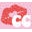 Cotton Candy Apparel Icon