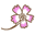 Mehera Shaw Icon