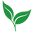 Nature's Branch Icon