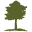 Schermer Pecans Icon