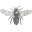 Pure Honey Icon
