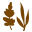 Co-op Market Icon