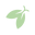Firefly Nature School Icon