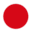 Cozzia USA Icon