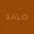 salovintage Icon