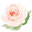 Taylor Made Organics Icon