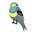 Little Birdies Boutique Icon