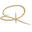 Roja Parfums Icon