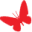 Butterfly Icon