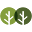 Tropical Salvage Icon