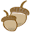 Acorns and Twigs Icon