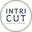 Intricut Creations USA Icon