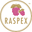 Raspex USA Icon