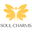 Soul Charms USA Icon
