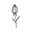 Levoilecollection Icon