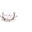 Emma Grace Shoppe Icon