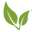 Matcha Outlet Icon