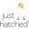 Just Hatched USA Icon