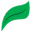Entire Tea Icon