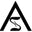 Ashimary Hair Official Website USA Icon