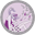 Lavender Girl Icon