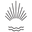 Yindi & Salt Icon