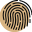 God's Fingerprints Icon