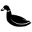 DUX Collection Sydney Australia Icon