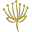 Lovera Collections Icon