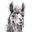 Llamas Art Show Icon