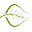 NaturesFragrance.com USA Icon