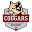 IU Kokomo Athletics Icon
