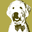 Bowie-Ties Icon