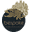 Bespoke Botanics Icon