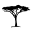 Organic Savanna Icon
