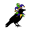 Nevermore Costumes Icon