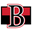 Belleville Senators Icon