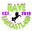 Rave Fantasyland Icon