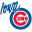 MiLB Store USA Icon