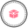 thepinkboxindia Icon