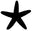 Hidden Starfish Icon