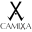 Camixa Icon