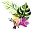 Olivia Clare Boutique Icon