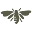 GNGR bees Icon