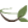 Path of Cha Icon