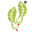 Wellness Footwear Australia Icon