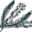 Atlantic Sea Farms Icon
