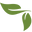 Elastic Wax Center Icon